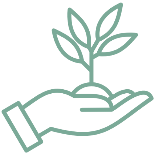 hands golding a small plant
