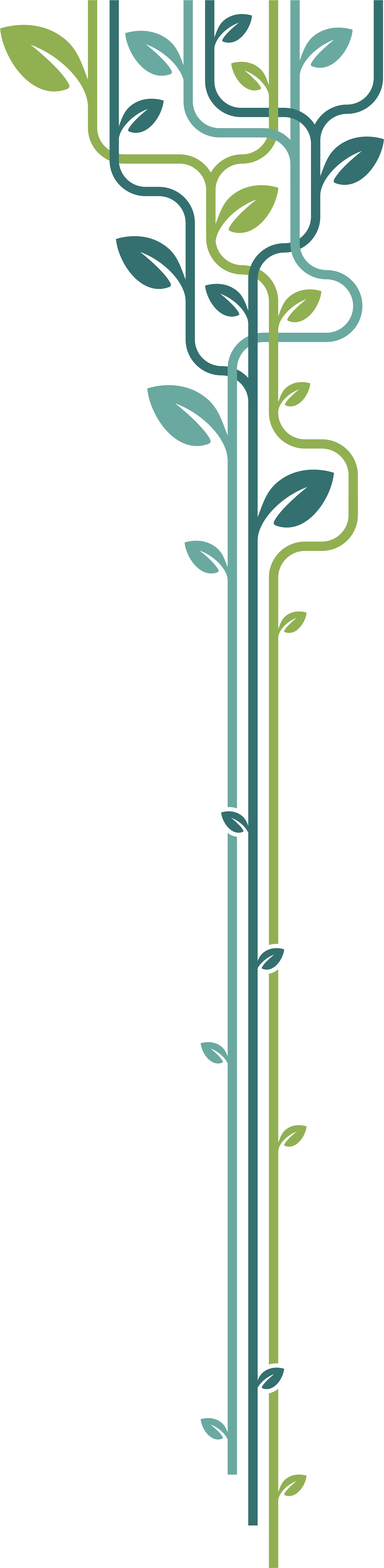 vines leading down the side of the page